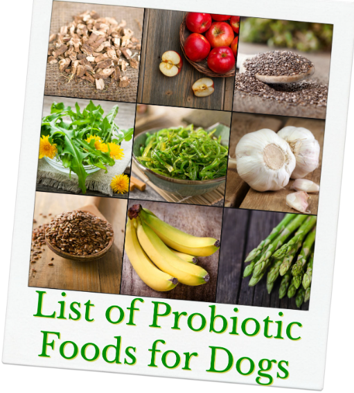 Probiotics for Dogs Health Boosterss