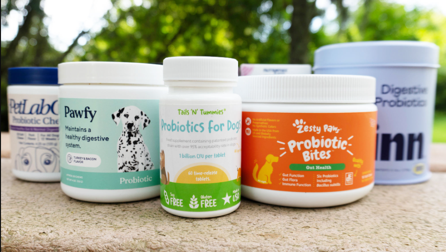 Probiotics for Dogs Health Boosterss