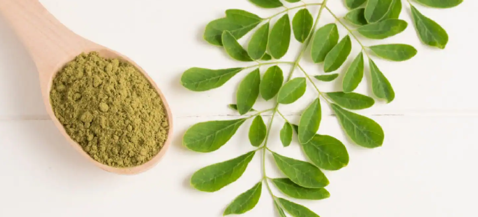 Moringa Powder Health Boosterss