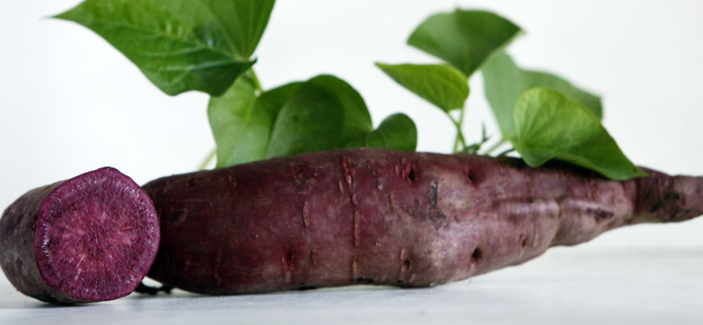 Purple Sweet Potato Health Boosterss