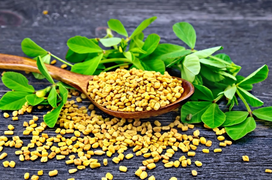 Fenugreek